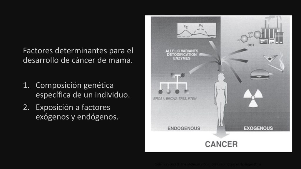 Factores determinantes para el desarrollo de cáncer de mama.