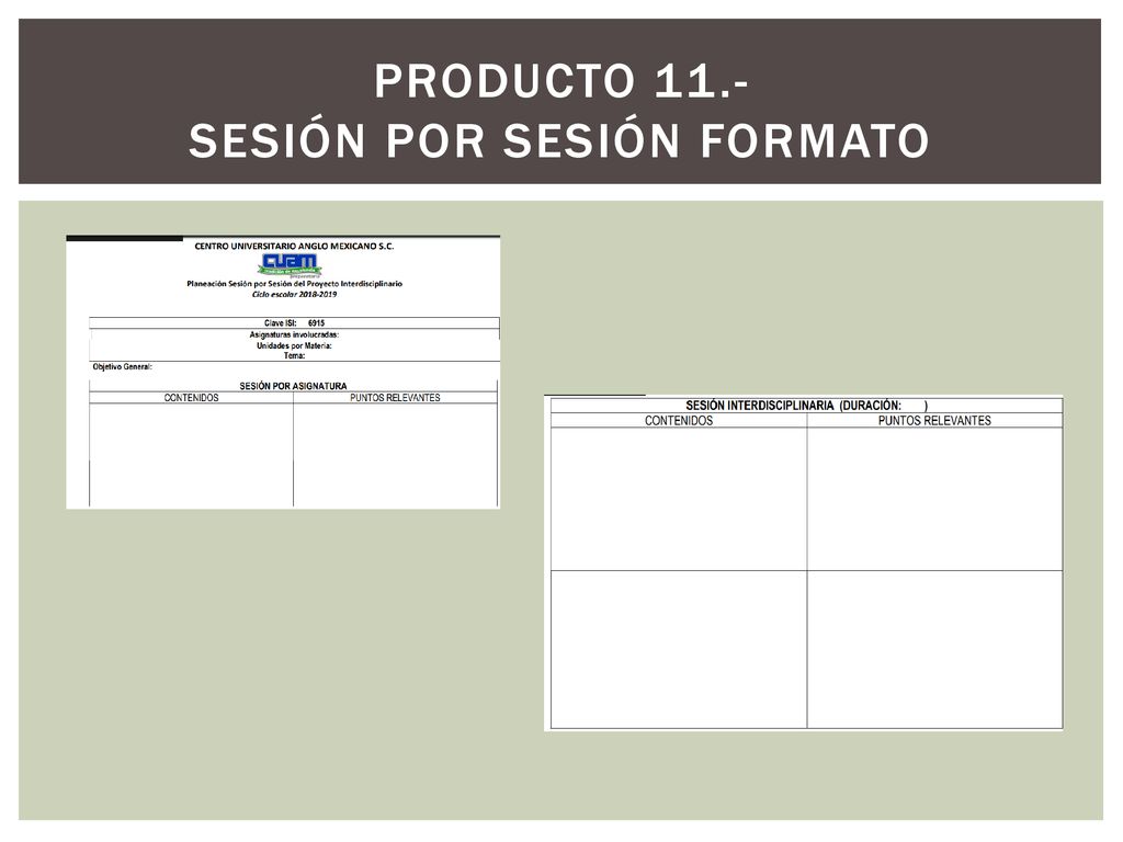 Producto 11.- Sesión por sesión formato