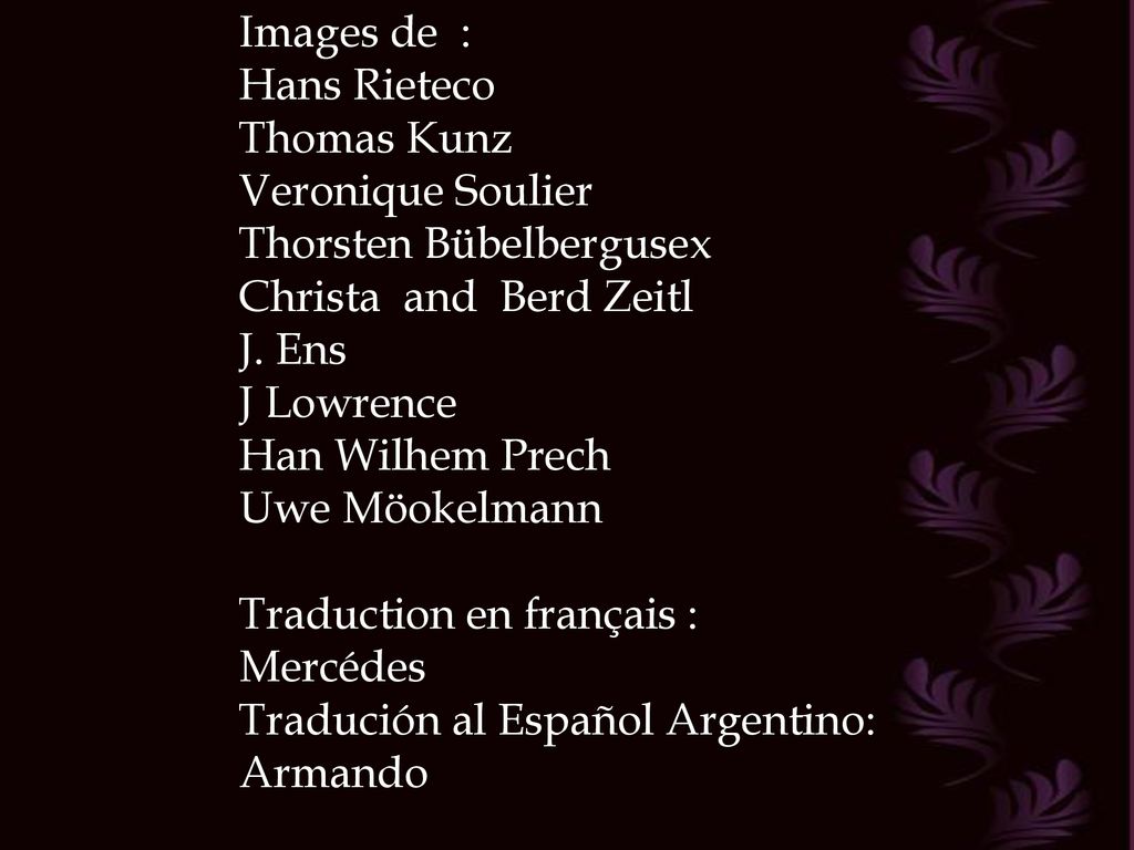 Images de : Hans Rieteco. Thomas Kunz. Veronique Soulier. Thorsten Bübelbergusex. Christa and Berd Zeitl.