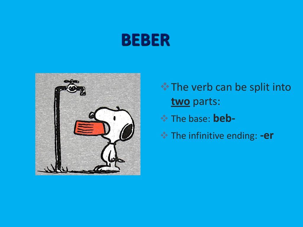 BEBER The verb can be split into two parts: The base: beb-