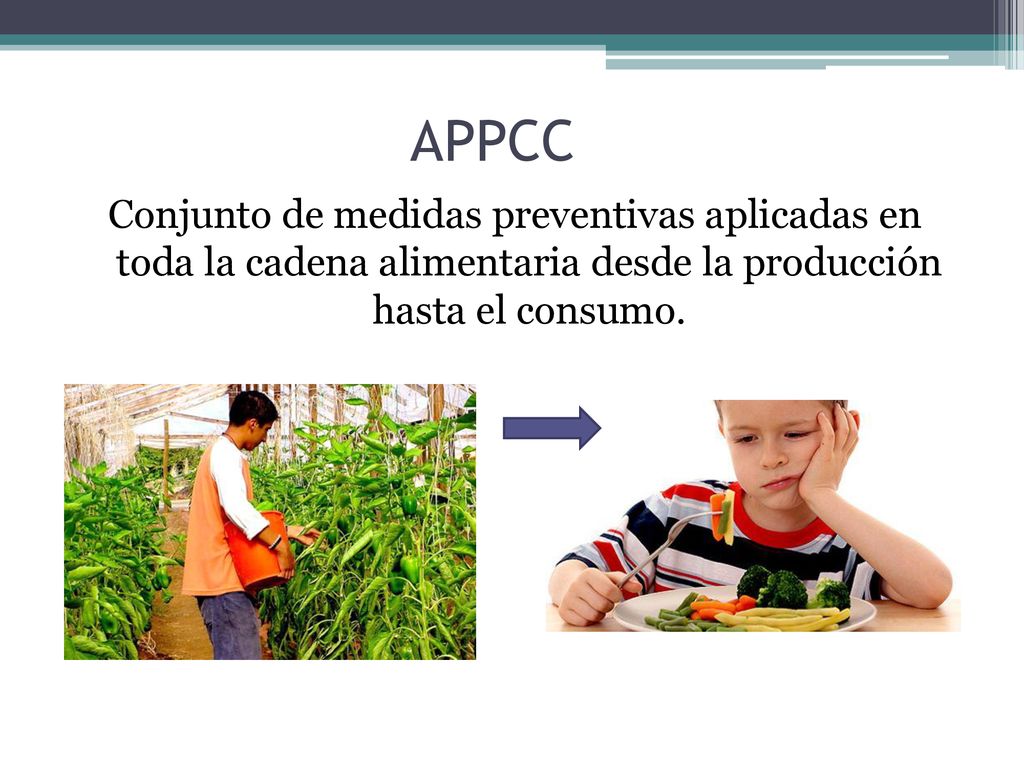 APPCC Conjunto de medidas preventivas aplicadas en toda la cadena alimentaria desde la producción hasta el consumo.