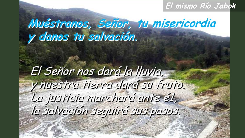 Muéstranos, Señor, tu misericordia y danos tu salvación.