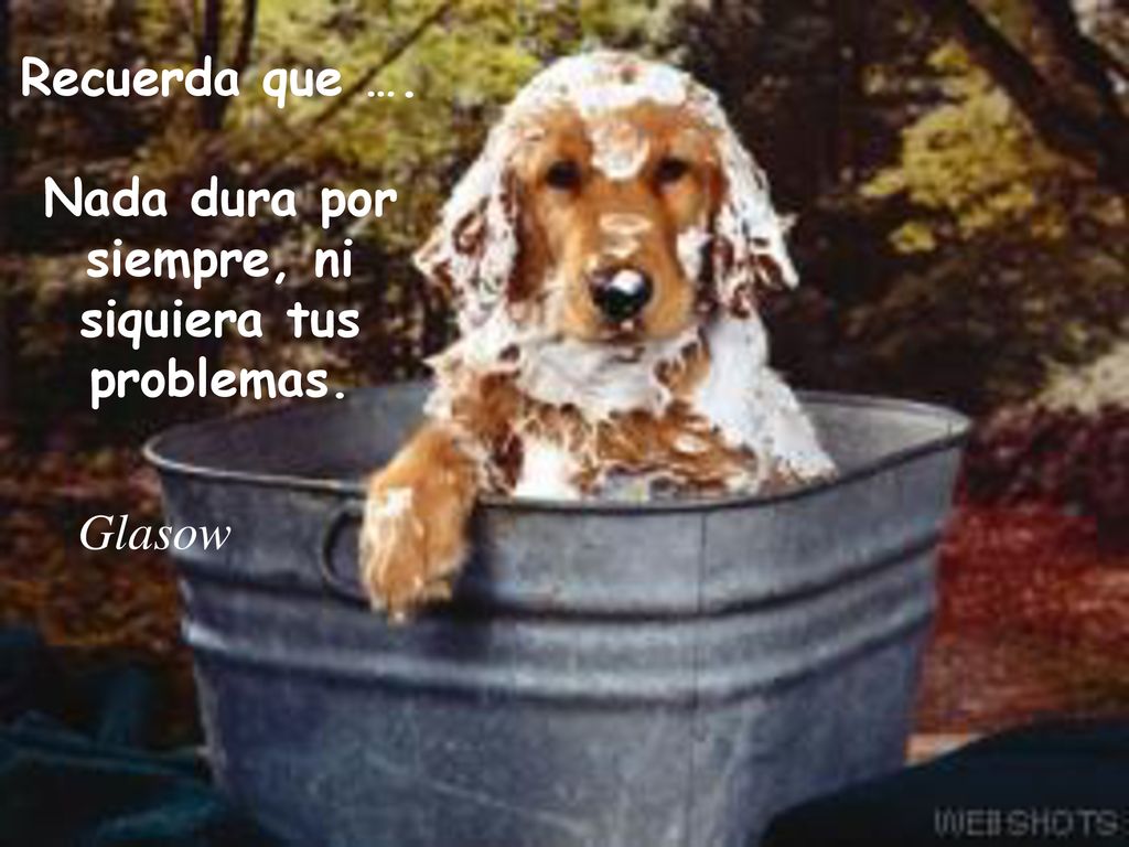 Recuerda que …. Nada dura por siempre, ni siquiera tus problemas.