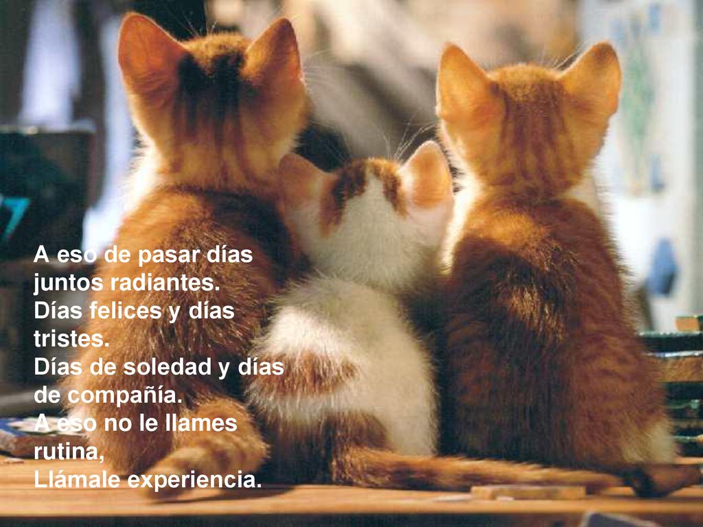 A eso de pasar días juntos radiantes. Días felices y días tristes