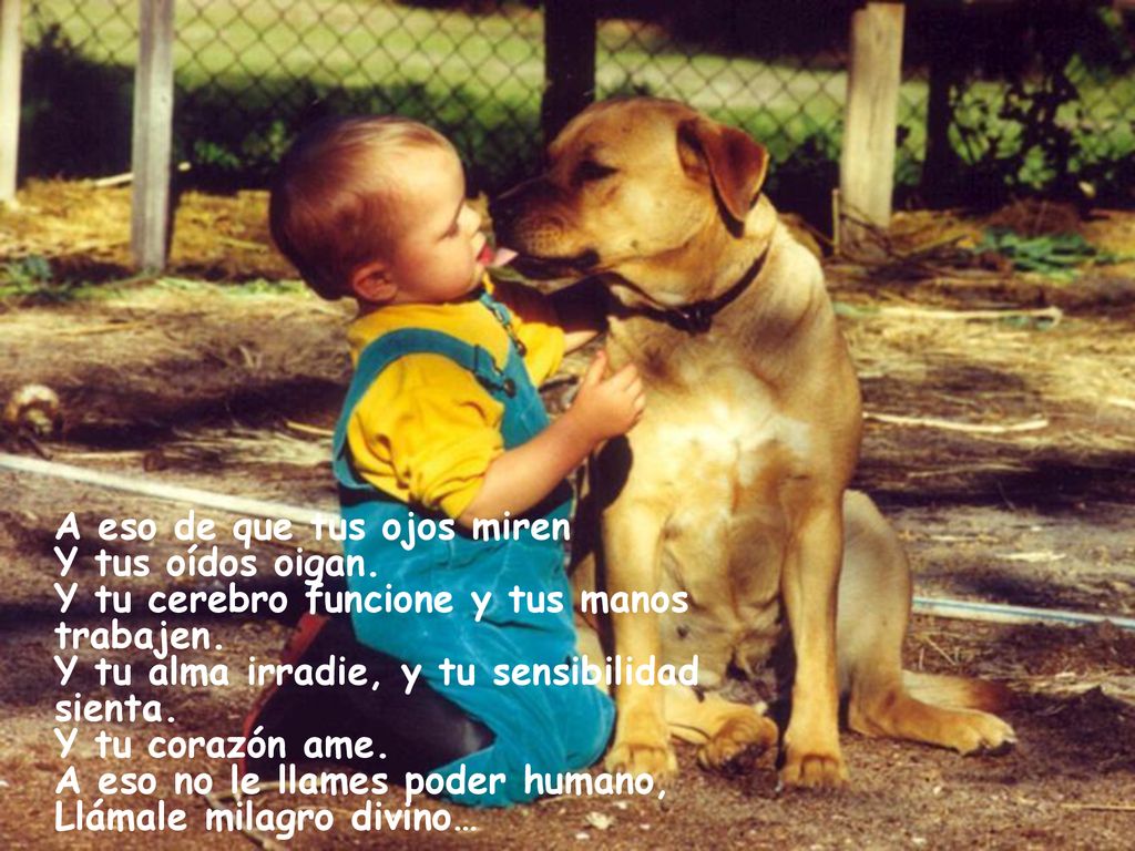 A eso de que tus ojos miren Y tus oídos oigan