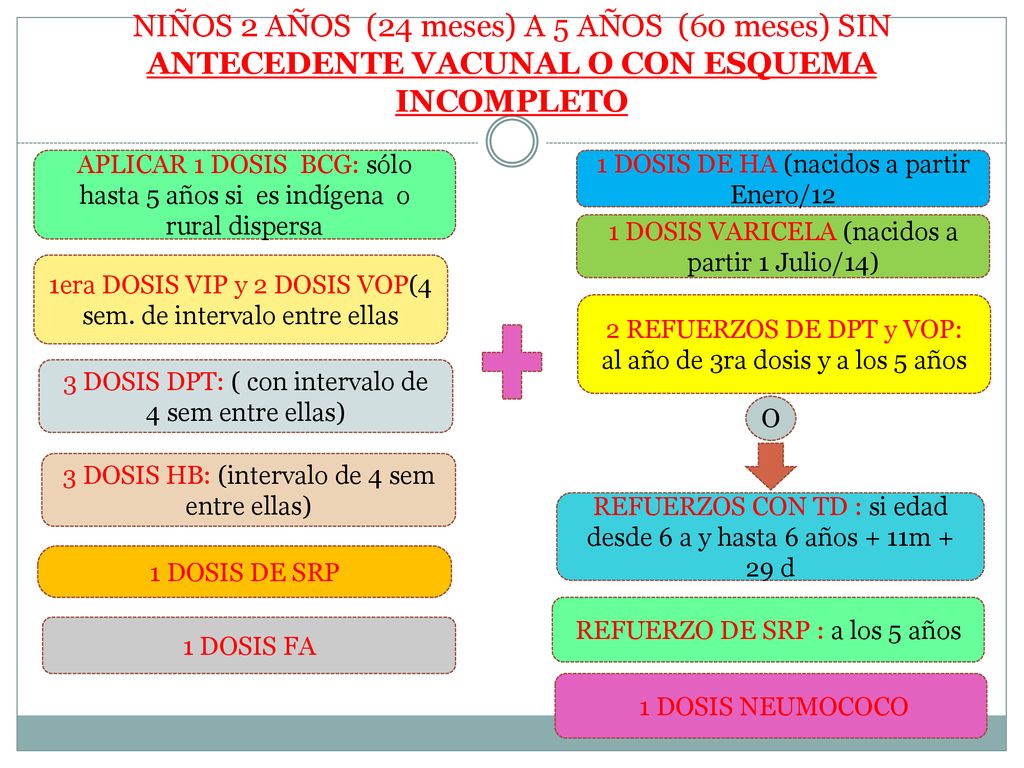 NIÑOS 2 AÑOS (24 meses) A 5 AÑOS (60 meses) SIN ANTECEDENTE VACUNAL O CON ESQUEMA INCOMPLETO