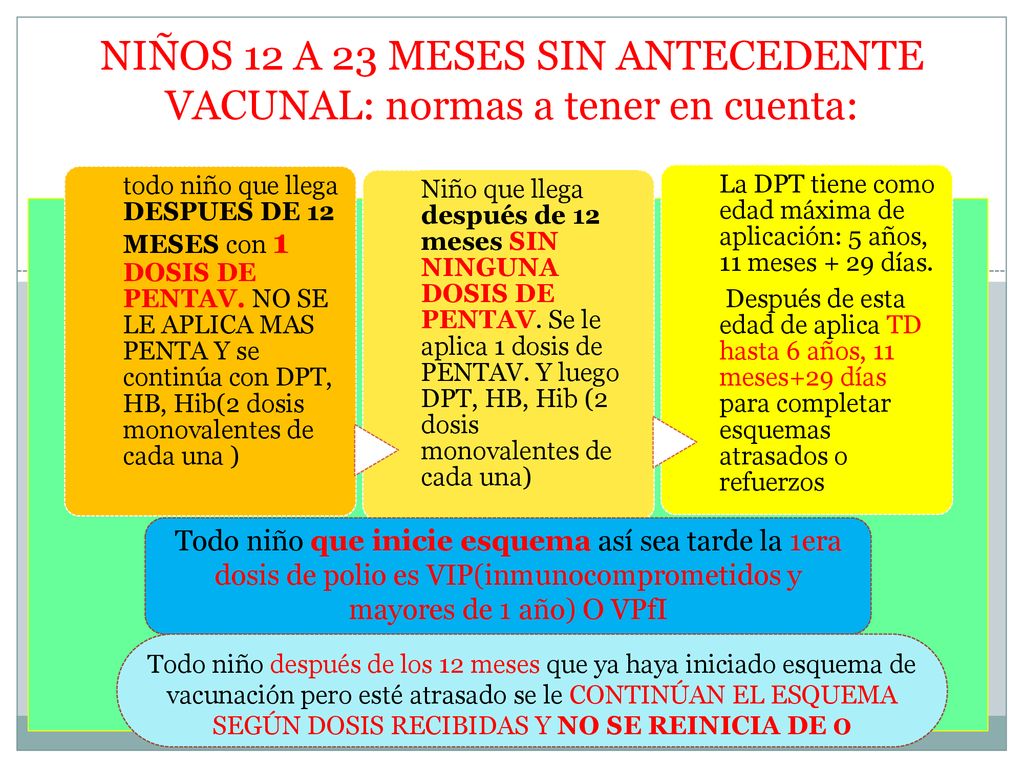 NIÑOS 12 A 23 MESES SIN ANTECEDENTE VACUNAL: normas a tener en cuenta:
