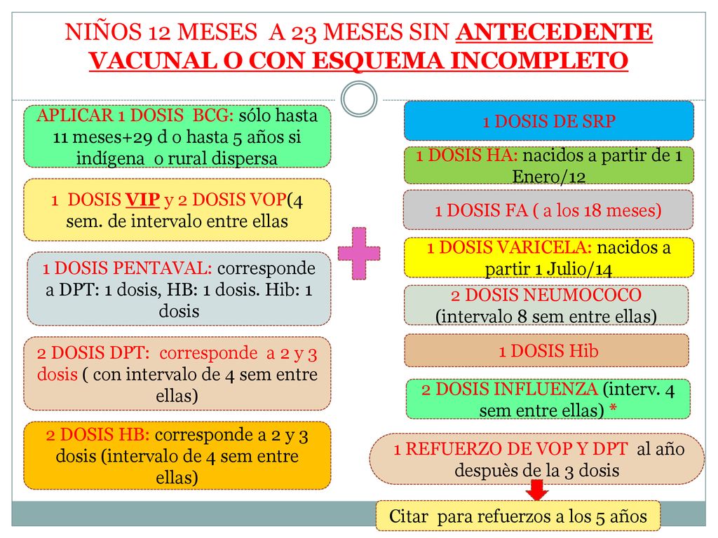 NIÑOS 12 MESES A 23 MESES SIN ANTECEDENTE VACUNAL O CON ESQUEMA INCOMPLETO
