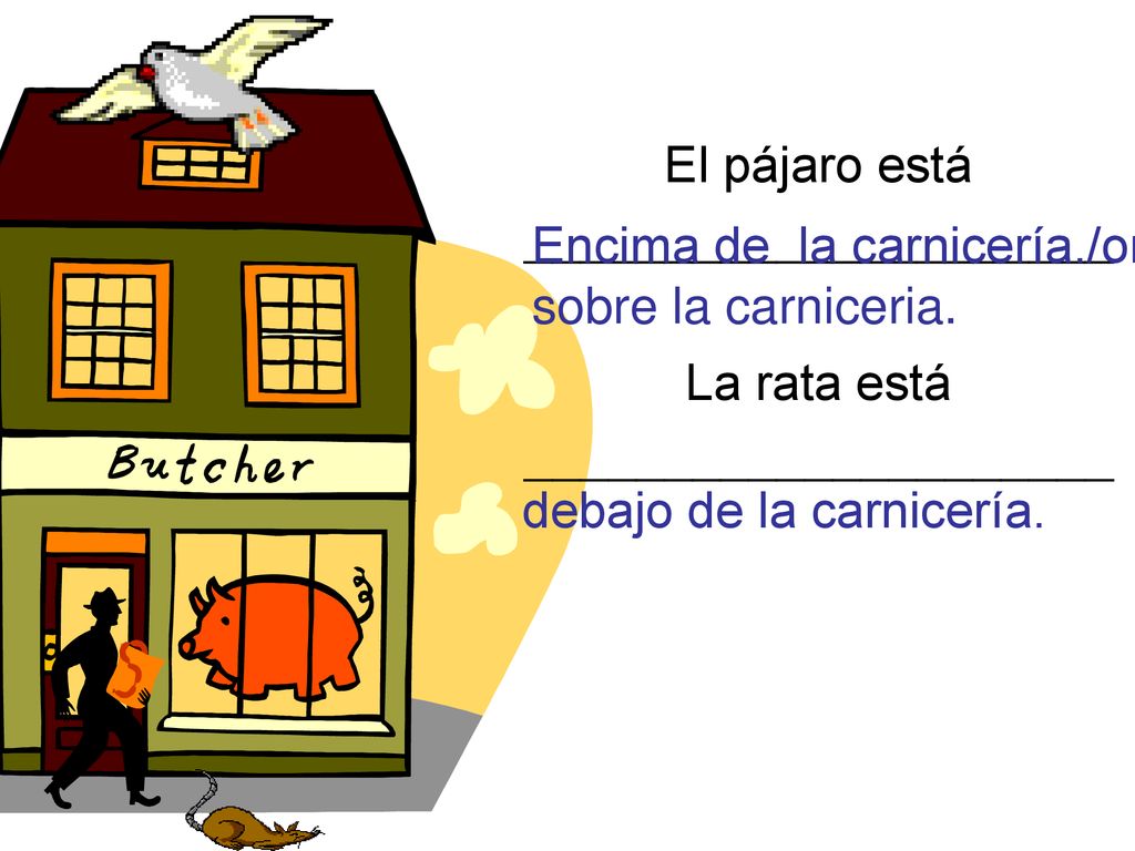 El pájaro está _____________________ La rata está _____________________