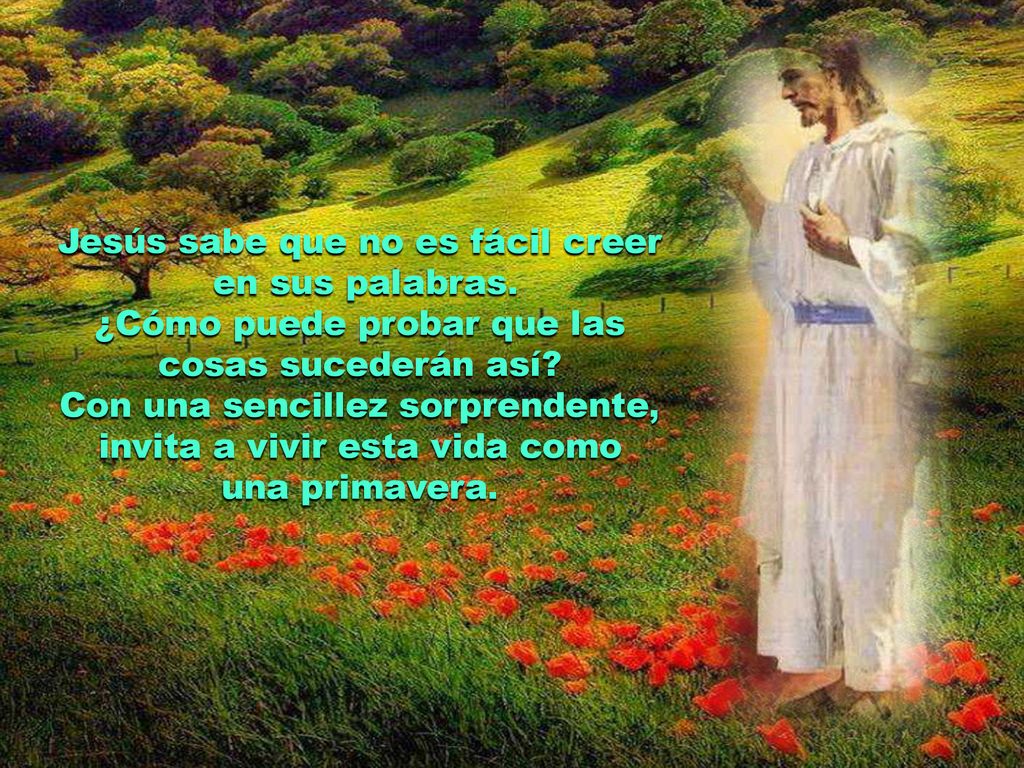 Jesús sabe que no es fácil creer en sus palabras.