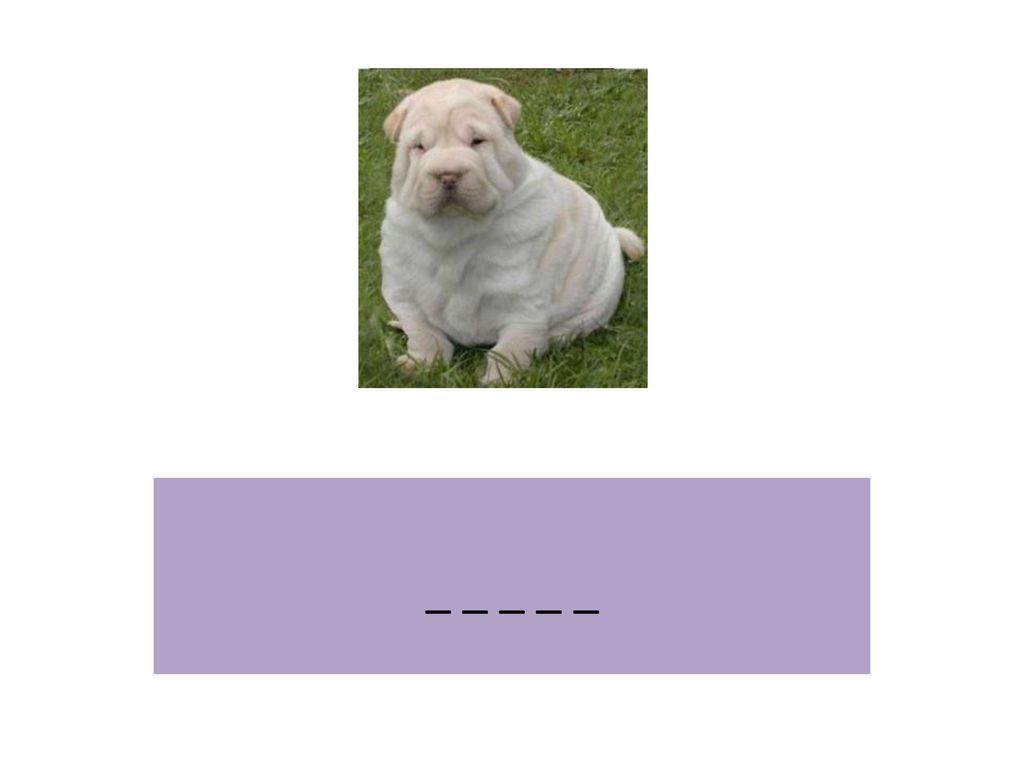 _ _ _ _ _