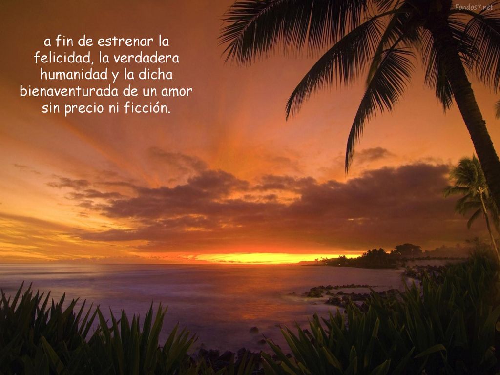 a fin de estrenar la felicidad, la verdadera humanidad y la dicha bienaventurada de un amor sin precio ni ficción.