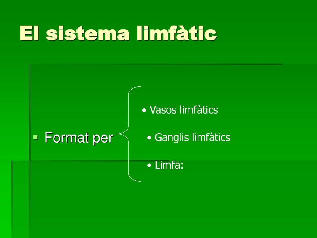 El sistema limfàtic Format per Vasos limfàtics Ganglis limfàtics