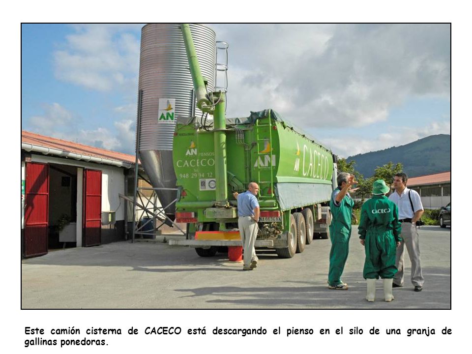 Este camión cisterna de CACECO está descargando el pienso en el silo de una granja de gallinas ponedoras.