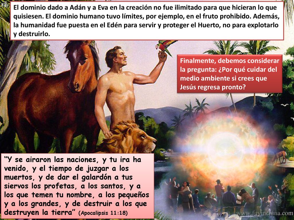 El dominio dado a Adán y a Eva en la creación no fue ilimitado para que hicieran lo que quisiesen. El dominio humano tuvo límites, por ejemplo, en el fruto prohibido. Además, la humanidad fue puesta en el Edén para servir y proteger el Huerto, no para explotarlo y destruirlo.