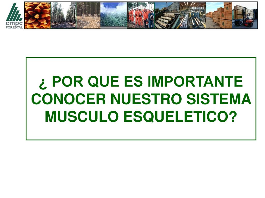 ¿ POR QUE ES IMPORTANTE CONOCER NUESTRO SISTEMA MUSCULO ESQUELETICO