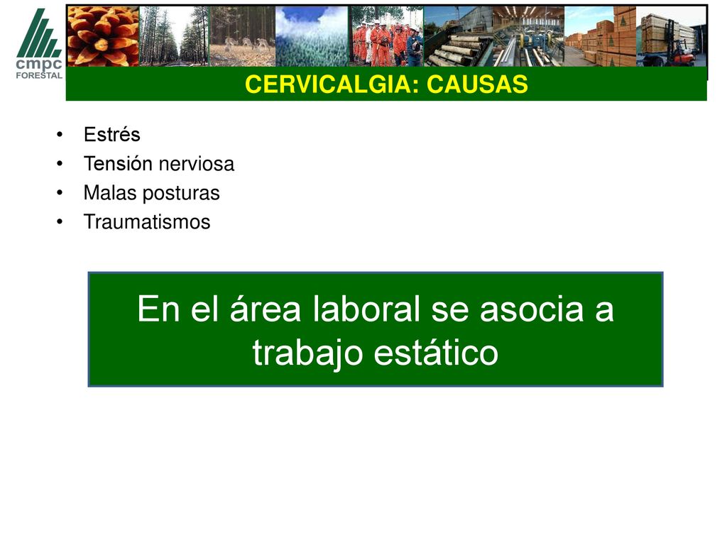 En el área laboral se asocia a trabajo estático