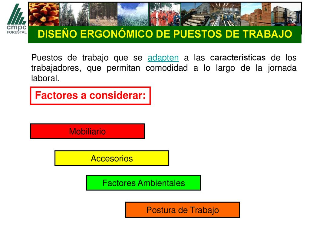 DISEÑO ERGONÓMICO DE PUESTOS DE TRABAJO Factores a considerar: