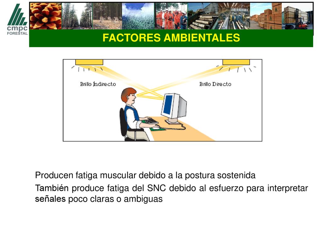 FACTORES AMBIENTALES Producen fatiga muscular debido a la postura sostenida.