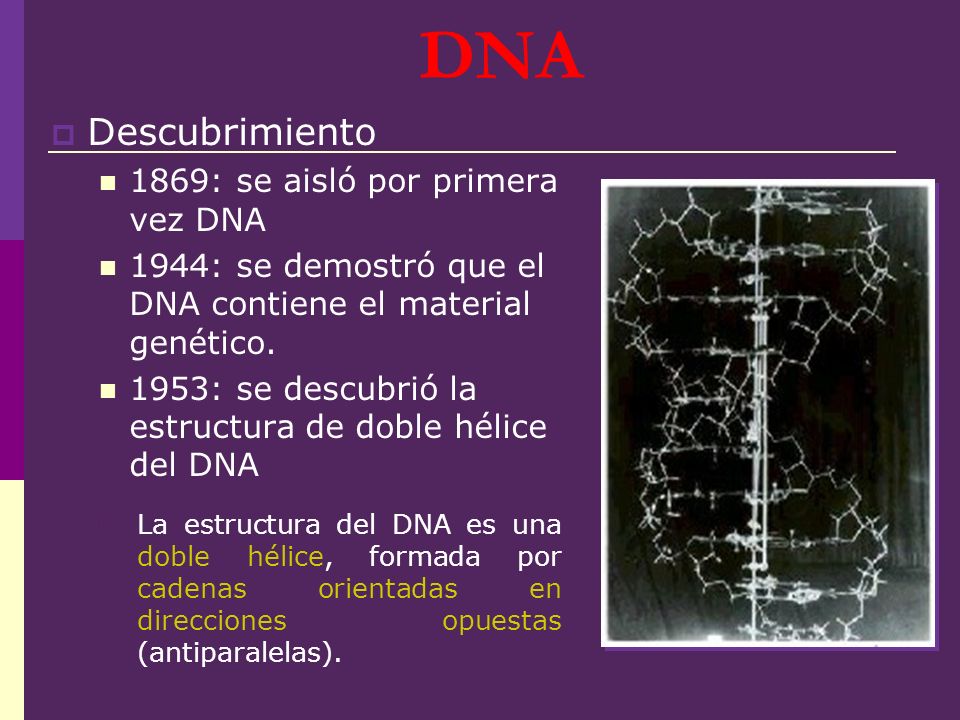 DNA Descubrimiento 1869: se aisló por primera vez DNA