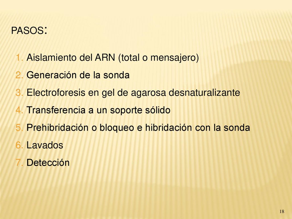 PASOS: Aislamiento del ARN (total o mensajero) Generación de la sonda. Electroforesis en gel de agarosa desnaturalizante.