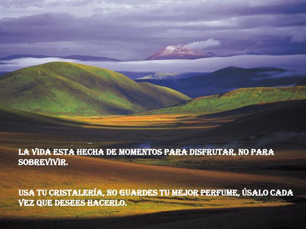 La vida esta hecha de momentos para disfrutar, no para sobrevivir.
