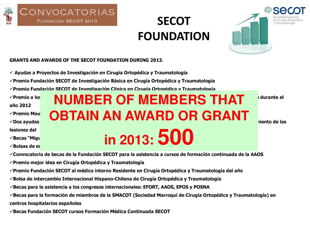 NUMBER OF MEMBERS THAT OBTAIN AN AWARD OR GRANT in 2013: 500