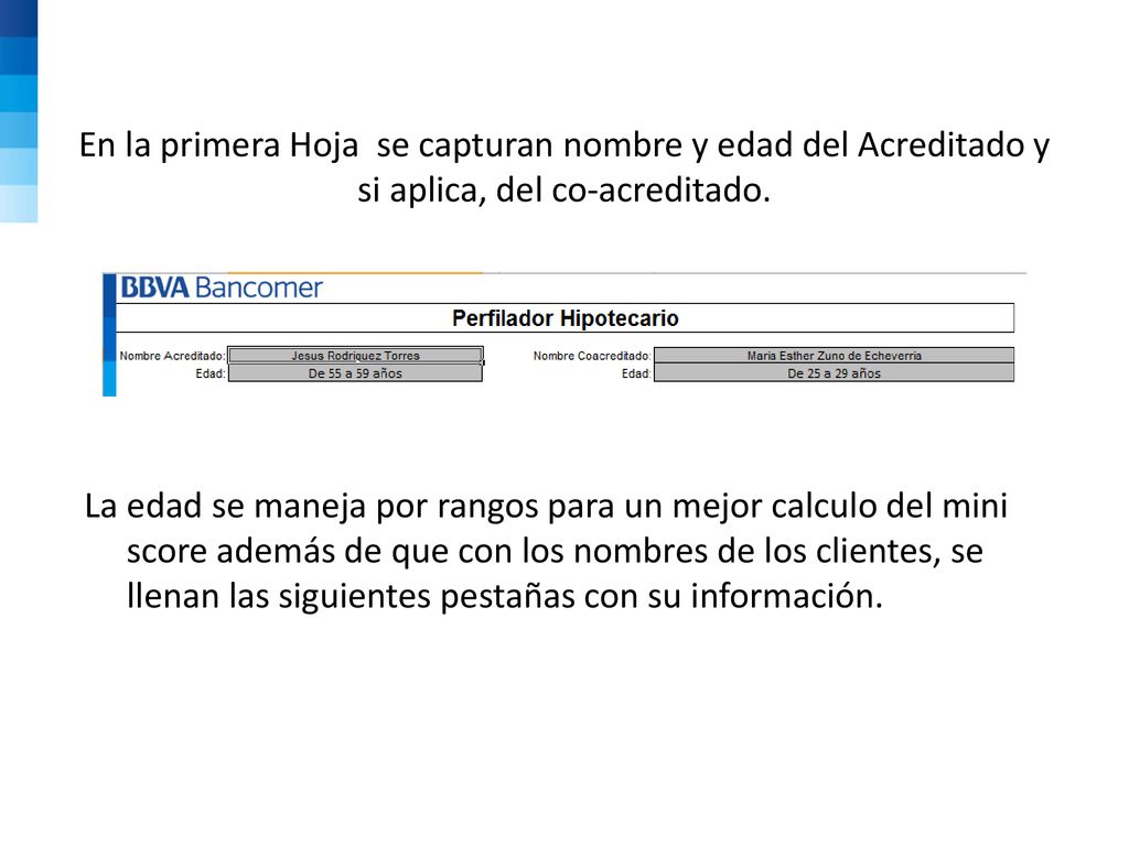 En la primera Hoja se capturan nombre y edad del Acreditado y si aplica, del co-acreditado.