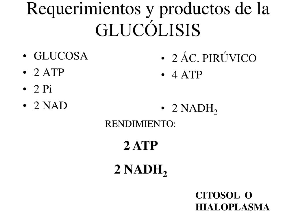 Requerimientos y productos de la GLUCÓLISIS