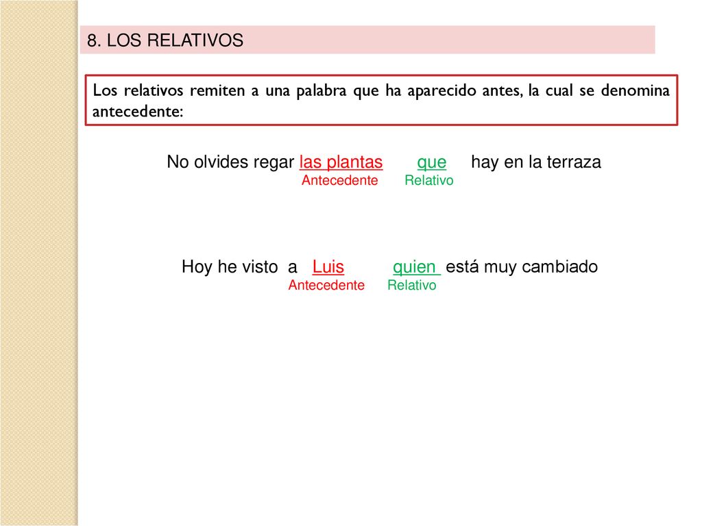 No olvides regar las plantas que hay en la terraza