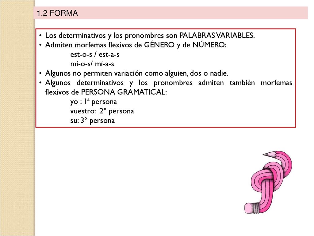 1.2 FORMA Los determinativos y los pronombres son PALABRAS VARIABLES. Admiten morfemas flexivos de GÉNERO y de NÚMERO: