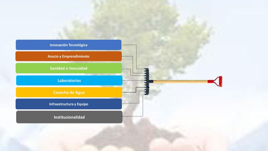 Sanidad e Inocuidad Laboratorios Cosecha de Agua Institucionalidad