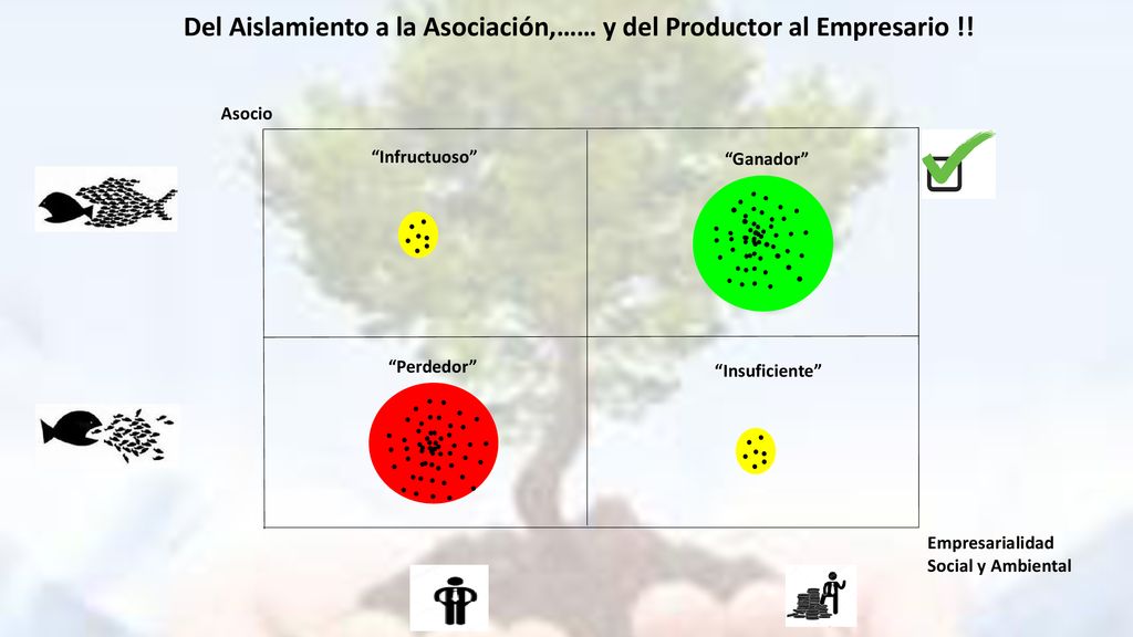 Del Aislamiento a la Asociación,…… y del Productor al Empresario !!