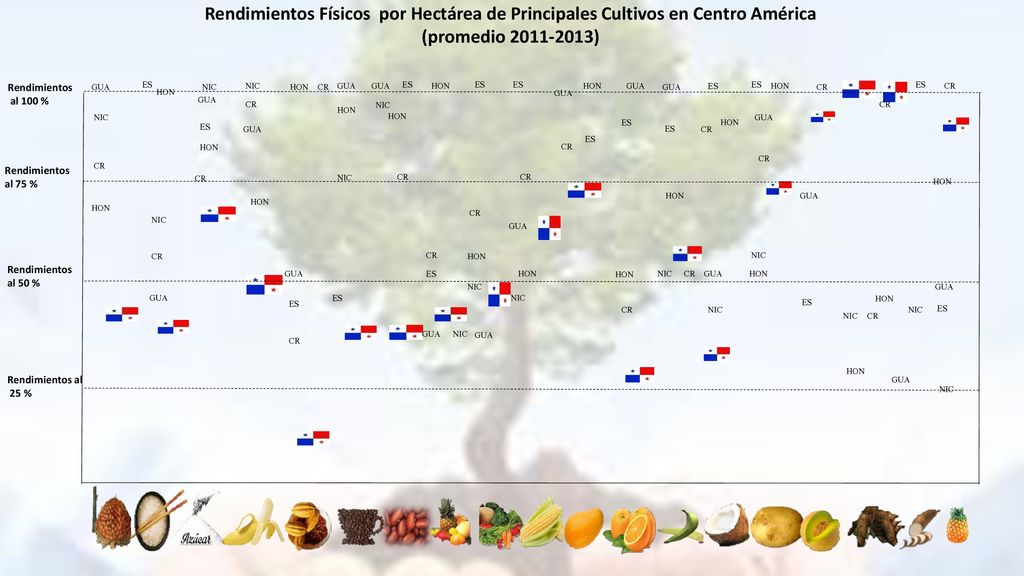 Rendimientos Físicos por Hectárea de Principales Cultivos en Centro América