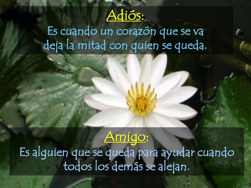 Adiós: Amigo: Es cuando un corazón que se va