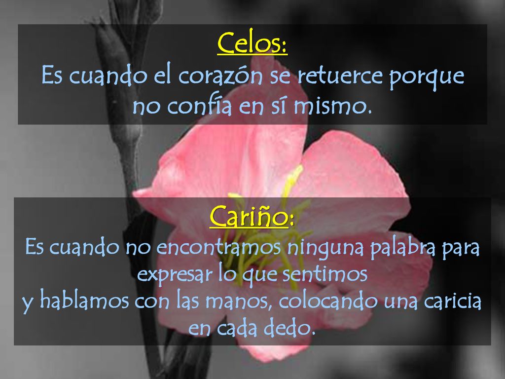 Celos: Es cuando el corazón se retuerce porque no confía en sí mismo. Cariño: