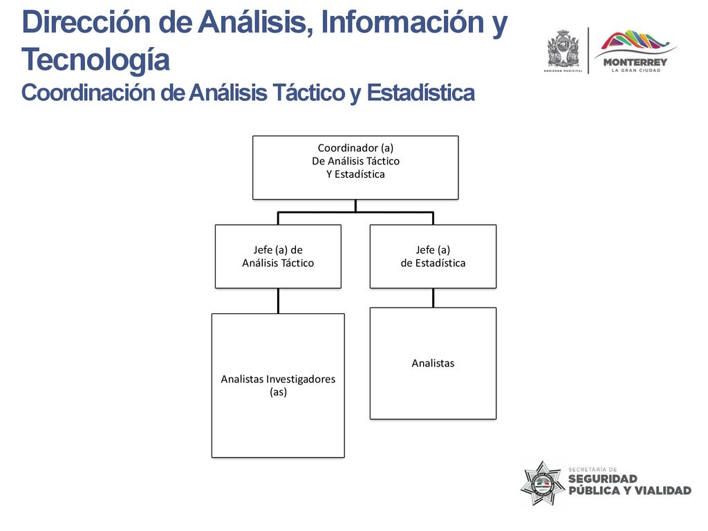 Analistas Investigadores (as)