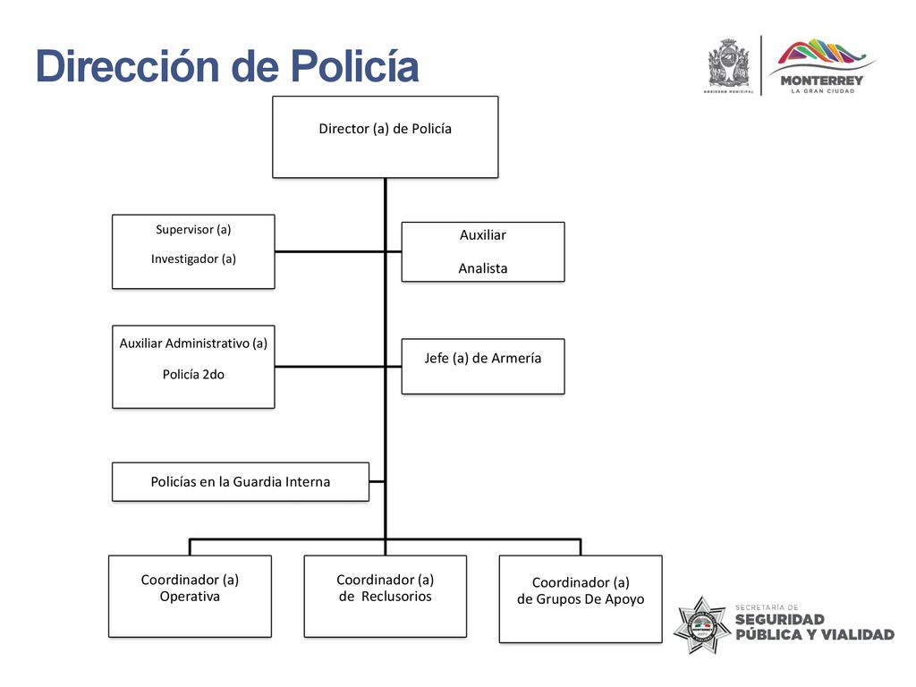 Dirección de Policía Director (a) de Policía Coordinador (a) Operativa