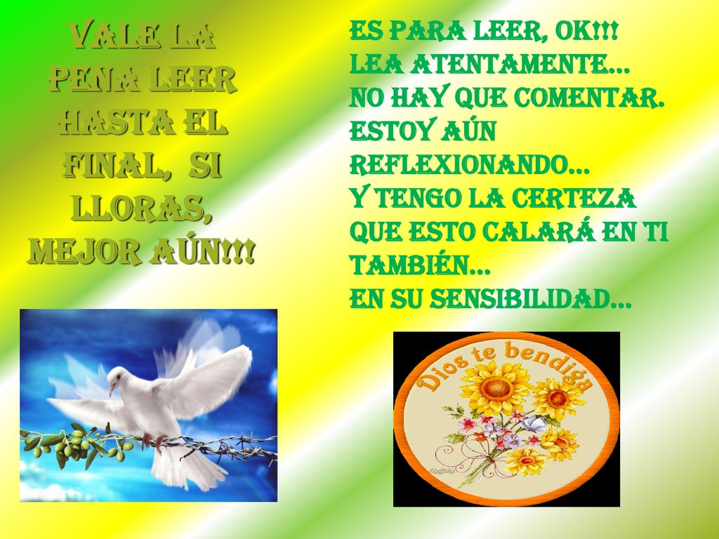 VALE LA PENA LEER HASTA EL FINAL, SI LLORAS, MEJOR AÚN!!!
