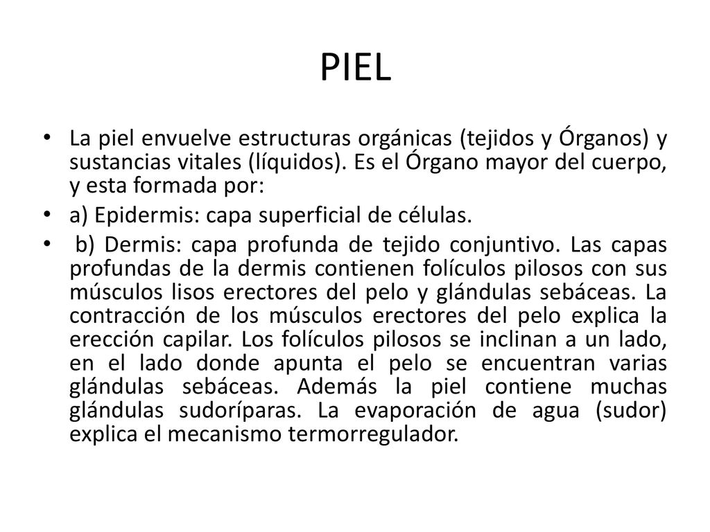PIEL La piel envuelve estructuras orgánicas (tejidos y Órganos) y sustancias vitales (líquidos). Es el Órgano mayor del cuerpo, y esta formada por: