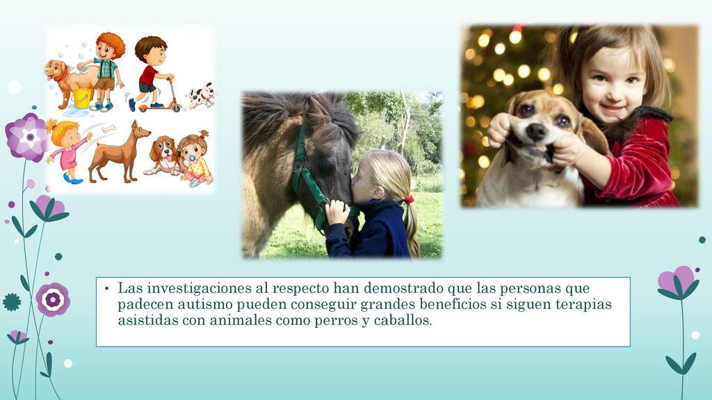 Las investigaciones al respecto han demostrado que las personas que padecen autismo pueden conseguir grandes beneficios si siguen terapias asistidas con animales como perros y caballos.