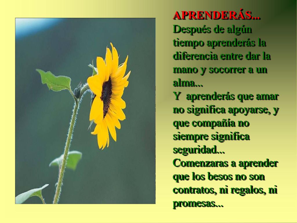 APRENDERÁS... Después de algún tiempo aprenderás la diferencia entre dar la mano y socorrer a un alma...