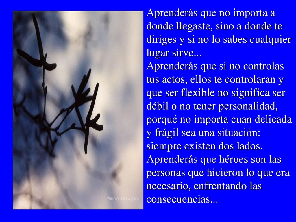 Aprenderás que no importa a donde llegaste, sino a donde te diriges y si no lo sabes cualquier lugar sirve...