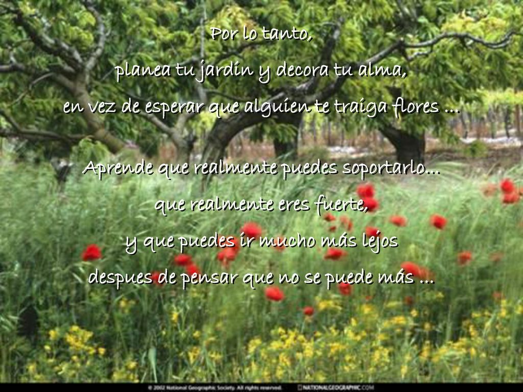 planea tu jardin y decora tu alma,