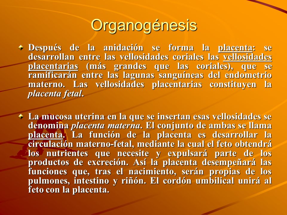 Organogénesis
