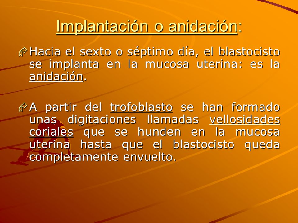 Implantación o anidación: