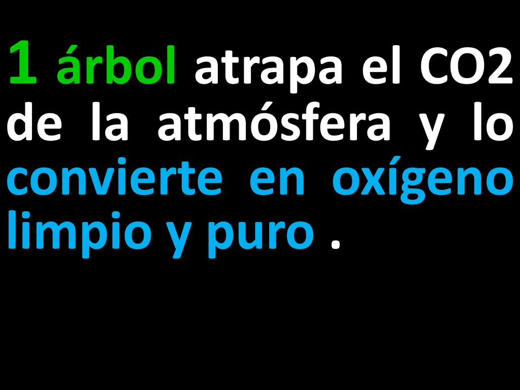 1 árbol atrapa el CO2 de la atmósfera y lo convierte en oxígeno limpio y puro .