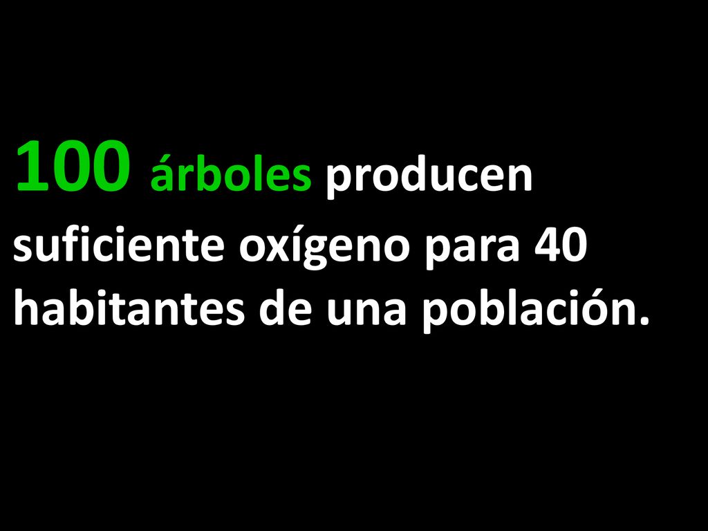100 árboles producen suficiente oxígeno para 40 habitantes de una población.