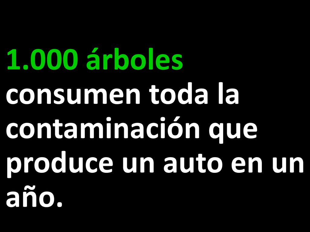 1.000 árboles consumen toda la contaminación que produce un auto en un año.