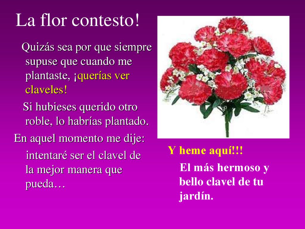 La flor contesto! Si hubieses querido otro roble, lo habrías plantado.